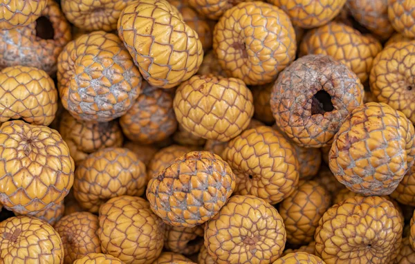 Full Frame Shot Showing Lots Dried Natangura Palm Fruits — Stock Photo, Image