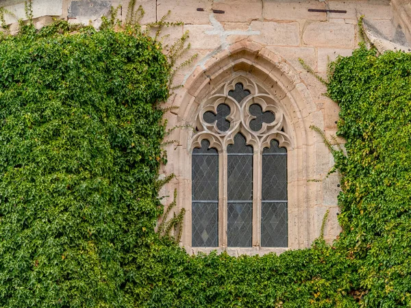 Outdoor Shot Historic Stained Glass Window Surrounded Creeping Plants — Stock Photo, Image