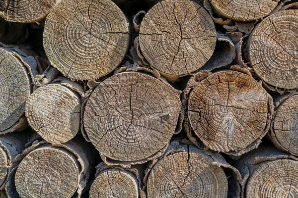 Pełna Klatka Zbliżenie Strzał Ukazujący Przednie Końce Starych Drewna Opałowego — Zdjęcie stockowe