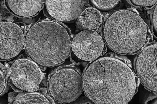 古い風化した薪ログのフロントエンドを示すフルフレームのグレースケールのクローズアップショット — ストック写真