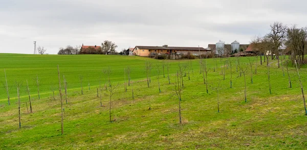 Kis Vidéki Falu Mezőgazdasági Üzemekkel Mezőgazdasági Épületekkel Dél Németországban Kora — Stock Fotó