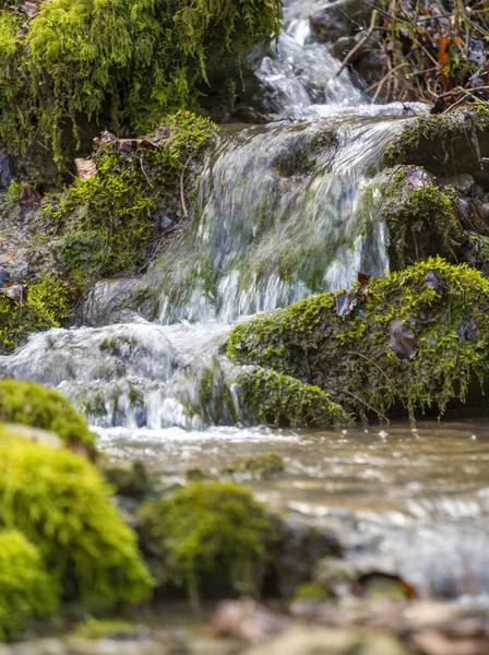 Nahaufnahme Eines Kleinen Rinnsals Mit Einigen Wasserfällen Zeitigen Frühling — Stockfoto