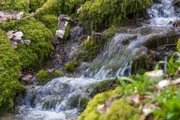Nahaufnahme Eines Kleinen Rinnsals Mit Einigen Wasserfällen Zeitigen Frühling — Stockfoto
