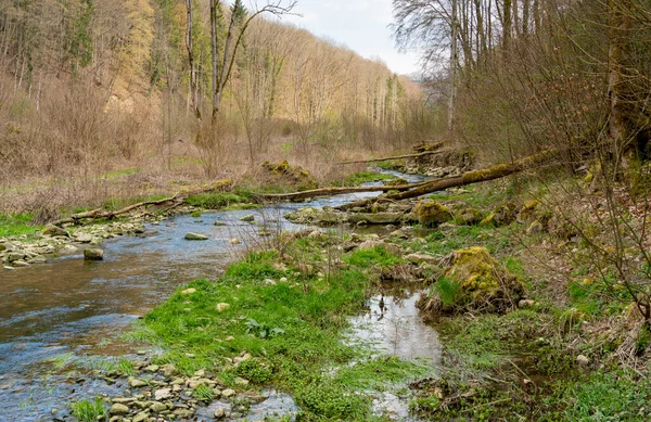 Riparian Scenery Grimmbach Small River Hohenlohe District Southern Germany Early — Stock Photo, Image