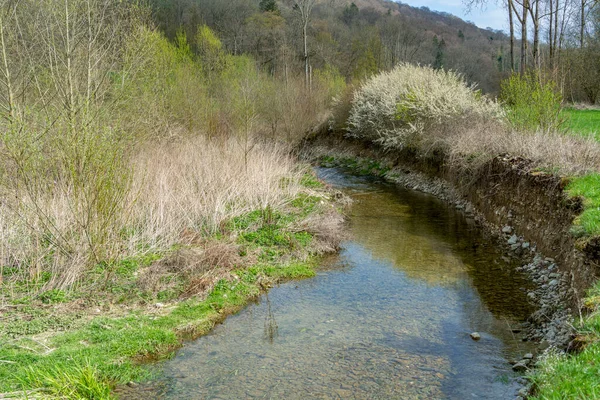 Riparian Scenery Grimmbach Small River Hohenlohe District Southern Germany Early — Stock Photo, Image
