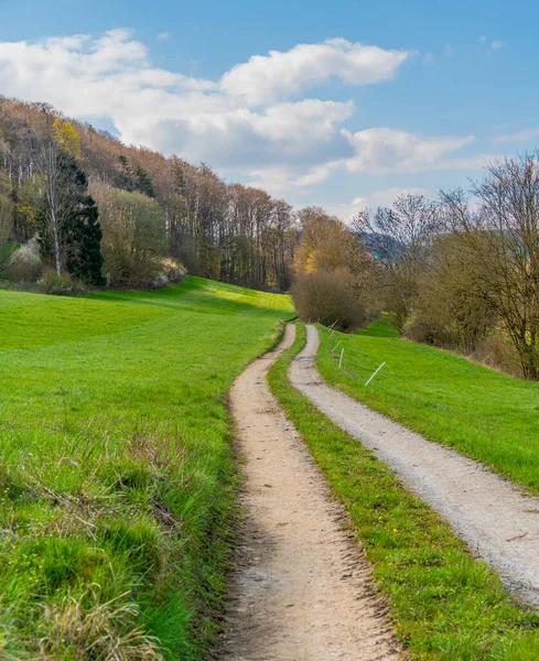 Braunsbach Çevresinde Yeşil Çayırlar Çayırlar Bulunan Idyllic Kırsal Zaman Manzarası — Stok fotoğraf