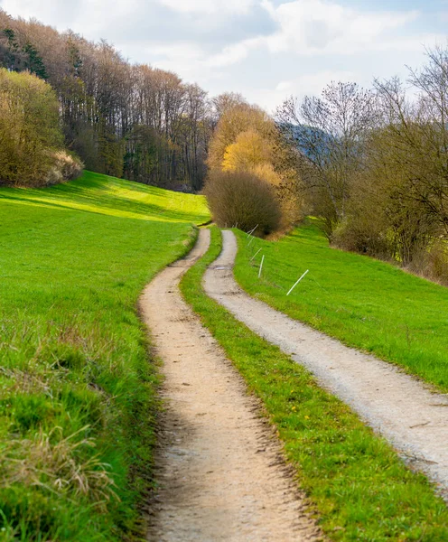 Braunsbach Çevresinde Yeşil Çayırlar Çayırlar Bulunan Idyllic Kırsal Zaman Manzarası — Stok fotoğraf