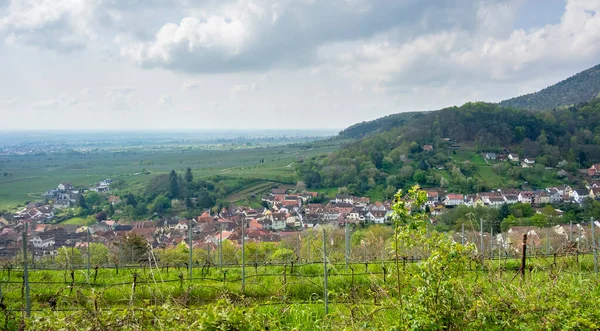 ドイツ ラインラント プファルツ州南部ワイン街道地域の自治体 サンクト マーティン周辺の風景 — ストック写真