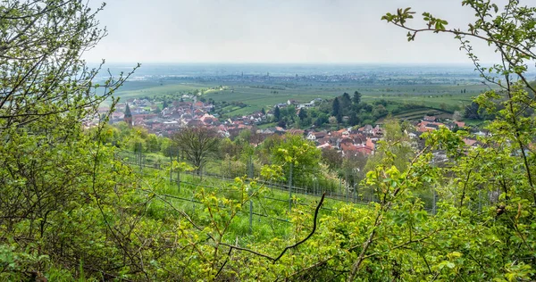 Sankt Martin Çevresindeki Manzara Almanya Nın Rhineland Palatinate Bölgesindeki Güney — Stok fotoğraf