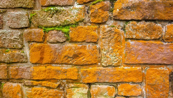 Kleurrijke Zandstenen Muur Gedeeltelijk Begroeid Met Groen Mos Oranje Korstmos — Stockfoto