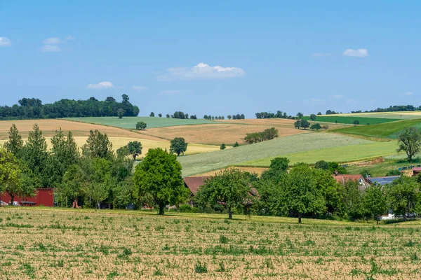南ドイツのSchleierhof周辺のフィールドや牧草地と農村夏の印象 — ストック写真