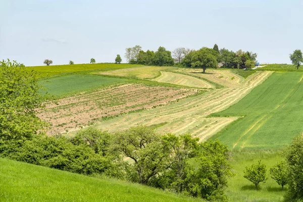 Rural Scenery Showing Some Fruit Trees Fields Southern Germany Early — Stock Photo, Image
