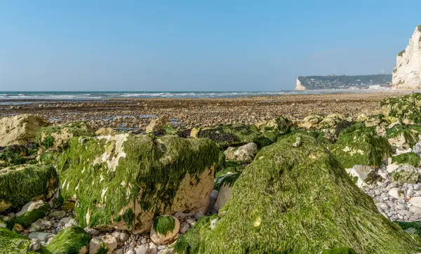 stock image Coastal scenery around Saint Leonard, a commune in the Seine-Maritime department in the Normandy region in northern France