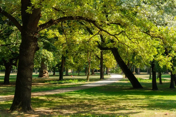 Margaret Island is a tranquil oasis in the heart of the capital - Budapest, Hungary