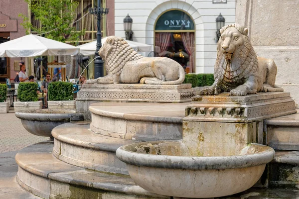彫刻家アグネス ピーターと建築家ラズロ ワイルドによるライオン ファウンテンは ヴォロスマティ広場の井戸跡に1985年に建てられました — ストック写真