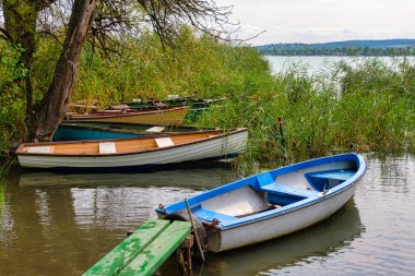 Balaton Gölü, Tihany, Macaristan 'daki sazlıkların arkasına demirlemiş tekneler.