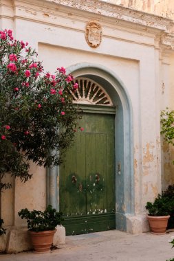 Eski yeşil kapı ve çiçek açan mor çiçekler sessiz bir sokakta - Mina - Malta