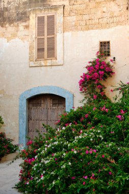 Eski bir duvarın, kapının ve pencerenin önünde açan mor ve beyaz çiçekler - Mdina, Malta