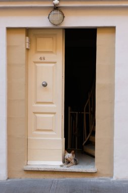 Kapıda nöbet tutan acımasız bir bekçi köpeği - Valletta, Malta