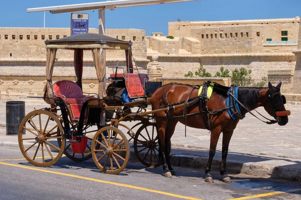 Horse Drawn Carriage Waiting Tourists Valletta Malta — 图库照片