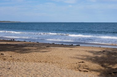 Balıkçı Sahili küçük dalgalarla dolu temiz bir kumsaldır, Torquay, Victoria, Avustralya