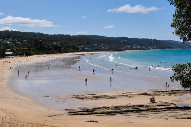 Low tide on the crescent-shaped sandy beach - Lorne, Victoria, Australia clipart