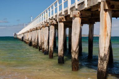 İskele oldukça uzun bir yapıdır ve balıkçılar ve martılar arasında çok popülerdir - Point Lonsdale, Victoria, Avustralya
