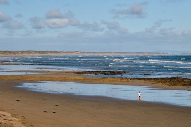 Köpeğiyle birlikte bir adam sahilde koşuyor - Ocean Grove, Victoria, Avustralya