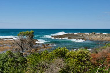 Büyük Okyanus Yürüyüşü 'ndeki kayalık platform Marengo, Victoria, Avustralya dalgaları tarafından sürekli aşınıyordu.