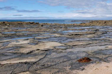 Kaya platformu alçak gelgitte açıkta - Marengo, Victoria, Avustralya