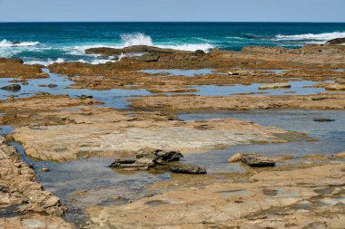Bu kayalık sahil, hayatla dolu sayısız kaya havuzu sunar - Marengo, Victoria, Avustralya