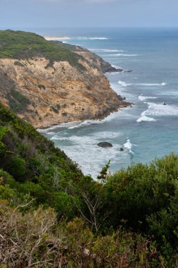 Büyük Okyanus Yolu 'ndaki Otways' in güney ucundan manzara - Otway Burnu, Victoria, Avustralya