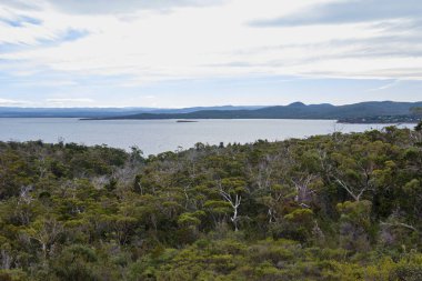 Coles Körfezi Gözcüsünden görüntü - Freycinet Yarımadası, Tazmanya, Avustralya