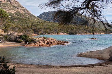 Balayı Koyu yarımadadaki en güzel yerlerden biridir - Coles Körfezi, Tazmanya, Avustralya