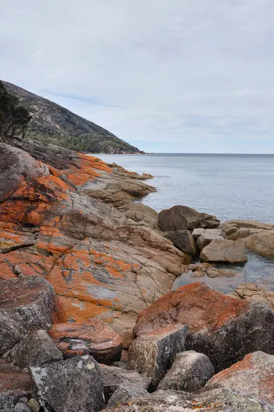 Kırmızı-turuncu liken, Freycinet Yarımadası, Tazmanya, Avustralya 'da kayaları kaplamıştı.