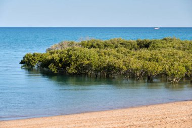Dampier Deresi boyunca yürü - Broome, WA, Avustralya