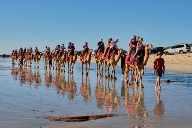Turistler Cable Beach 'te deve sürüşünün keyfini çıkarıyorlar - Broome, WA, Avustralya