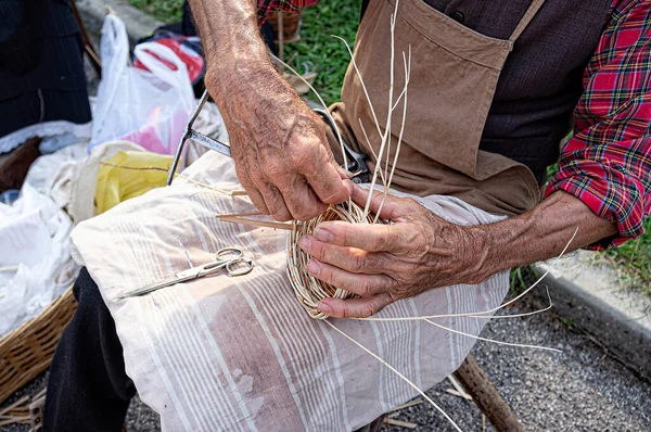 Elderly person\'s hands busy building a basket by weaving branches. The art of wicker weaving