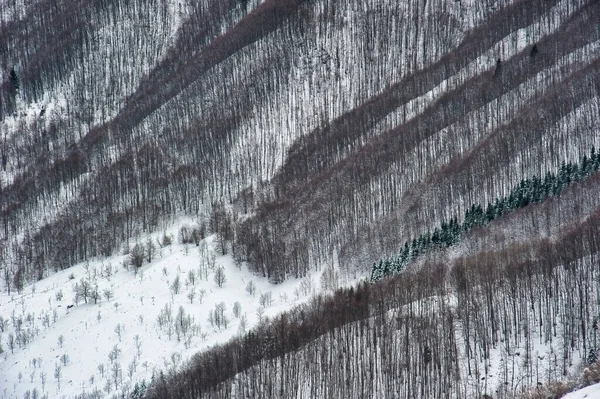Espectacular Vista Alpina Invierno Con Árboles Nieve — Foto de Stock