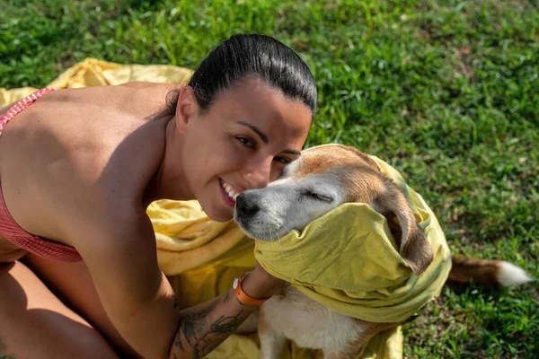 Wytatuowana Dziewczyna Bikini Suszy Swojego Starego Psa Beagle Żółtym Ręcznikiem — Zdjęcie stockowe