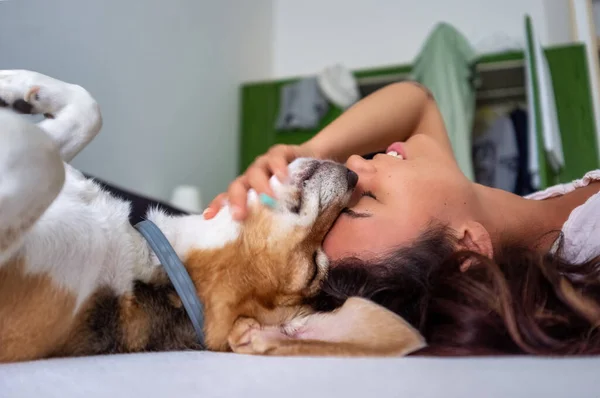 Ein Mädchen Mit Geschlossenen Augen Streichelt Ihren Hund Und Drückt — Stockfoto