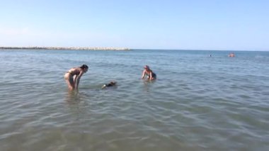 Sahiplerinin denizde yüzmesi için nazikçe yardım ettiği yaşlı bir Beagle köpeğinin ameliyatından sonra rehabilitasyon..