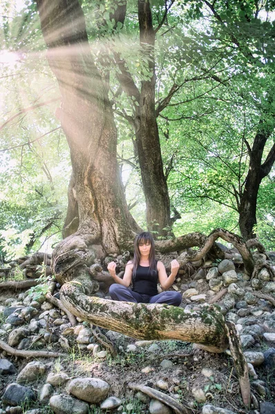 Lady seated in the lotus position at the foot of a large tree, struck by the rays of the sun.