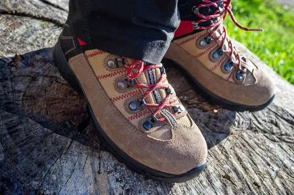 Close-up of new mountain boots on a child\'s feet, atop a tree stump