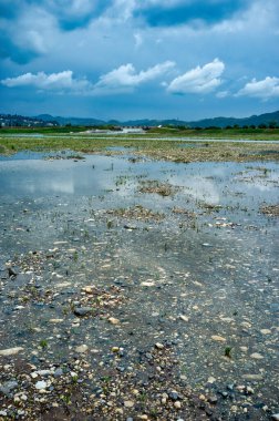 İtalya 'nın Vicenza ilindeki Trissino ve Arzignano belediyelerindeki Agno Gua nehri üzerindeki sel koruma ve hidrolik ve ıslah projeleri için nehir mühendisliği çalışmaktadır..