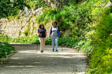 İki orta yaşlı bayan dağ yürüyüşünde, yürüyüş sırasında sohbet ediyorlar, doğaya dalmışlar..