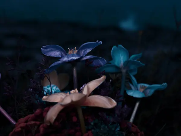 stock image Mystical close-up of luminous flowers in various shades of blue and purple against a dark background