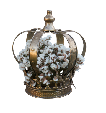 Şeffaf arka planda izole edilmiş, narin beyaz kurumuş çiçeklerle dolu klasik altın taç..