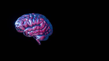 Çeşitli renklere sahip 3 boyutlu holografik beyin büyüleyici ve dinamik bir görsel tasvir yaratıyor..