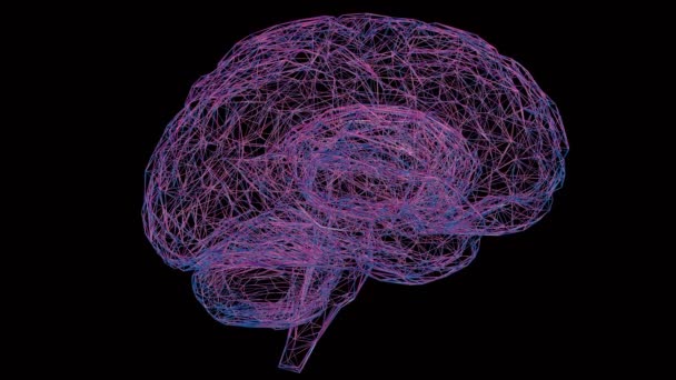 Holographisches Gehirn Mit Verschiedenen Farben Und Einem Faszinierenden Bild Das — Stockvideo
